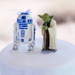 A magical blend of cultures: a Navajo Irish mountain wedding meets Star Wars