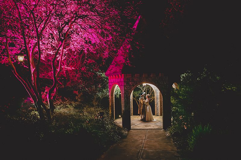 A costumed royal Renaissance affair with a sword in the stone cake(!)