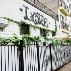 Ack Hicks EverlyStudios EverlyStudiosAmandaDuncan147 big - A whimsical brunch elopement in Brooklyn covered in florals A whimsical brunch elopement in Brooklyn covered in florals