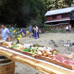 FullSizeRender 46 - Handmade boho wedding in the redwoods A magical handmade music fest-style wedding in the redwoods