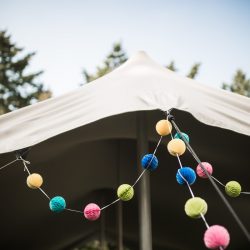 OBB 028 - This outdoor carousel wedding had rainbow decor and a doggy bridesmaid This outdoor carousel wedding had rainbow decor and a doggy bridesmaid