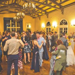20190119 MG 0620 - Spot all of the nerdy touches and adorable dogs at this wedding in the Redwoods Spot all of the nerdy touches and adorable dogs at this wedding in the Redwoods