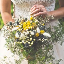 20190119 MG 9479 - Spot all of the nerdy touches and adorable dogs at this wedding in the Redwoods Spot all of the nerdy touches and adorable dogs at this wedding in the Redwoods