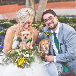 20190119 MG 9720 - Spot all of the nerdy touches and adorable dogs at this wedding in the Redwoods Spot all of the nerdy touches and adorable dogs at this wedding in the Redwoods