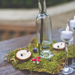 20190119 MG 9771 - Spot all of the nerdy touches and adorable dogs at this wedding in the Redwoods Spot all of the nerdy touches and adorable dogs at this wedding in the Redwoods