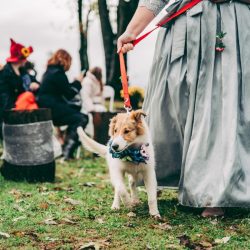 Spot the pups, swords, & EPIC cape at this fantasy themed wedding