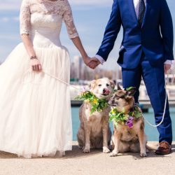 Chicago Elopement by Emma Mullins Photography 10 - Feast your eyes on this joyful Chicago elopement with donuts & dogs Feast your eyes on this joyful Chicago elopement with donuts & dogs