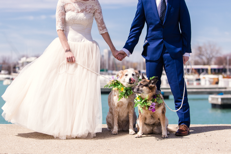 Feast your eyes on this joyful Chicago elopement with donuts & dogs