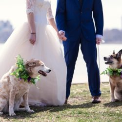 Chicago Elopement by Emma Mullins Photography 13 - Feast your eyes on this joyful Chicago elopement with donuts & dogs Feast your eyes on this joyful Chicago elopement with donuts & dogs