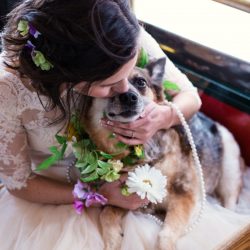 Chicago Elopement by Emma Mullins Photography 32 - Feast your eyes on this joyful Chicago elopement with donuts & dogs Feast your eyes on this joyful Chicago elopement with donuts & dogs