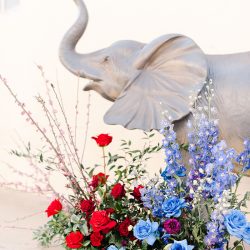 DumboStyledShoot 12 - “Close to my heart. Never to part": Circus romance abounds at this Dumbo-inspired wedding “Close to my heart. Never to part": Circus romance abounds at this Dumbo-inspired wedding