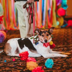 0645 Ariana Jordan Photo Jay Kacys Wedding 3281 - If you love color, THIS wedding is going to blow your mind If you love color, THIS wedding is going to blow your mind