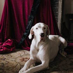 AllieDeariePhotography 92 - Bend the knee for this epic, snowy Game of Thrones wedding inspiration Bend the knee for this epic, snowy Game of Thrones wedding inspiration