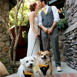 Colwell Taylor TristaMajaPhotography TP2A1318 big - Pops of color, fave fandoms, & vegan food at this Enchanted Manor wedding Pops of color, fave fandoms, & vegan food at this Enchanted Manor wedding