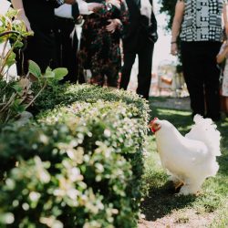 Churros, quiet moments, & a spiral aisle at this sunlit wedding in La Jolla