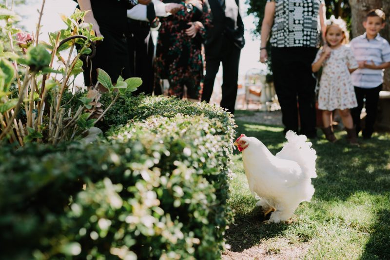 Churros, quiet moments, & a spiral aisle at this sunlit wedding in La Jolla