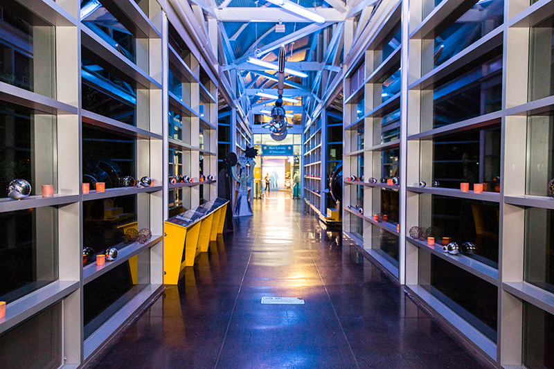 Crowns, pink flowers, & the cosmos at this Chabot Space Center wedding