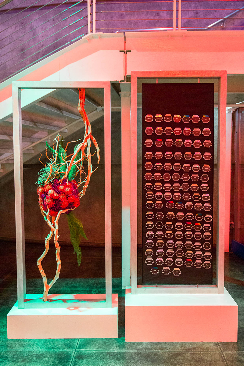 JayRick ChabotSpaceCenter wedding 89