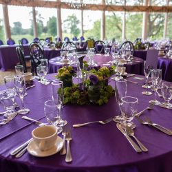 Arcade games & epic foliage at this whimsical green & purple wedding