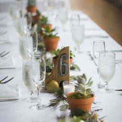 Wild beauty and rock star babes at this greenery wedding in Connecticut