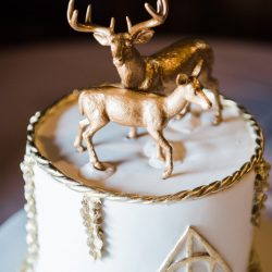 Scholl Latham EmmaleeLuckasPhotography DSC7462 big - The most magical Harry Potter bridal shower Celebrate Harry's birthday today with a most magical Harry Potter party