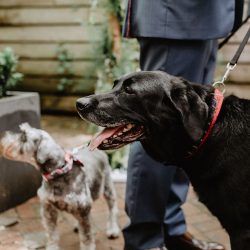 greg britt 221 - A chic Manhattan brunch wedding with two grooms & lots of greenery A chic Manhattan brunch wedding with two grooms & lots of greenery