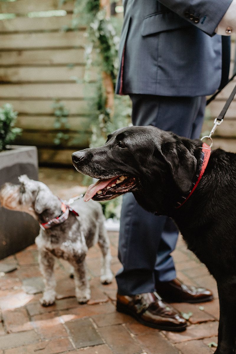 A chic Manhattan brunch wedding with two grooms & lots of greenery