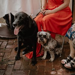 greg britt 232 - A chic Manhattan brunch wedding with two grooms & lots of greenery A chic Manhattan brunch wedding with two grooms & lots of greenery