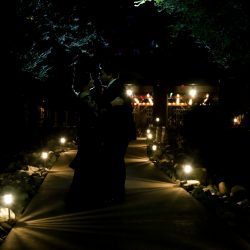 Here's how Jeff Goldblum helped make this horror film-inspired Halloween wedding come to be