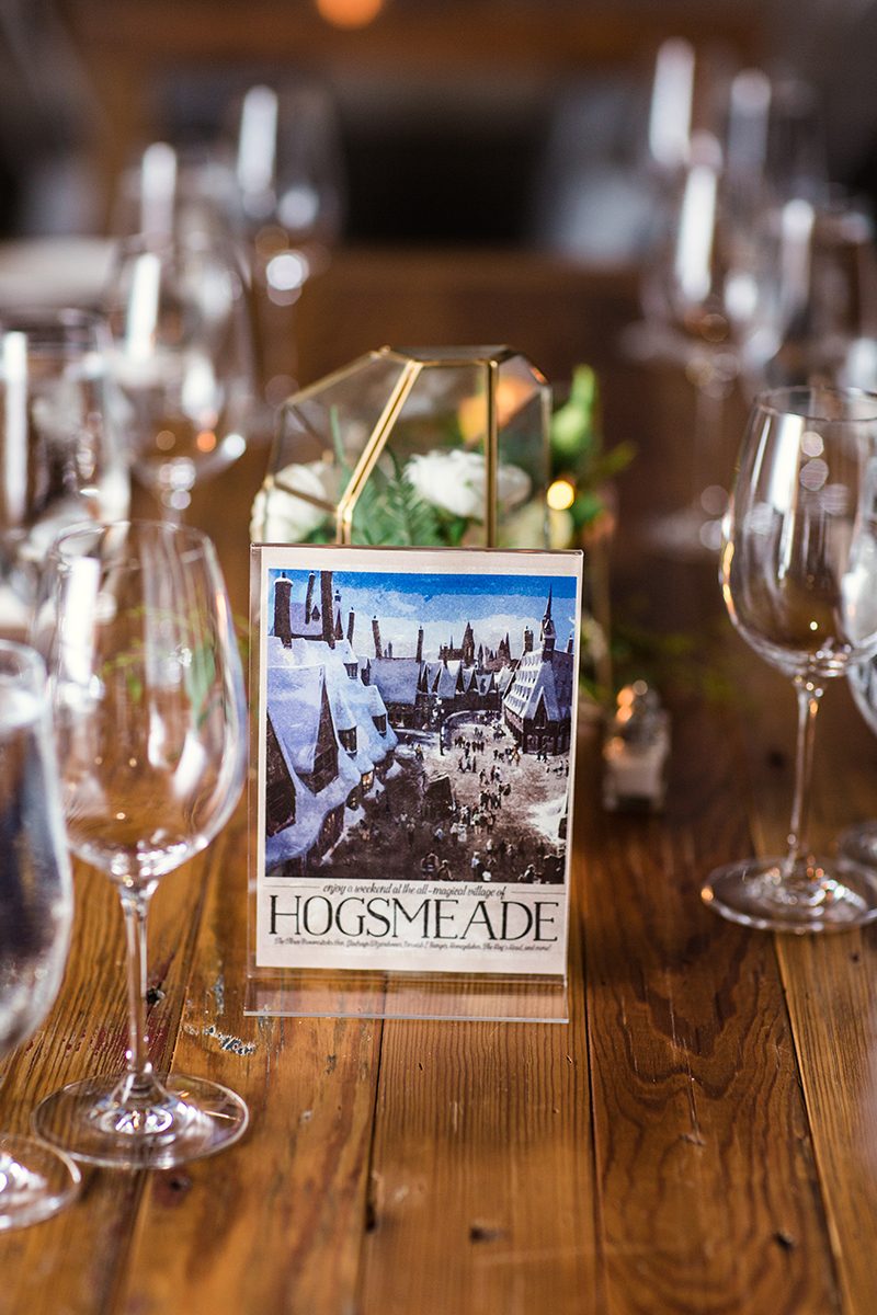 A whimsical & intimate pop culture wedding in Chicago? As you wish