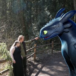 This pair met Toothless at their How to Train Your Dragon-themed forest engagement shoot