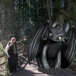This pair met Toothless at their How to Train Your Dragon-themed forest engagement shoot