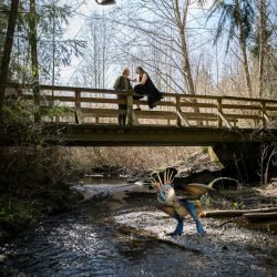 This pair met Toothless at their How to Train Your Dragon-themed forest engagement shoot