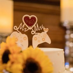 Sunflowers, video games, and ribbon wands at this Kentucky mansion wedding