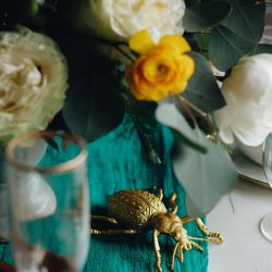 Insect Bridal Chettara T Photography 150 - Beautiful and avant-garde insect-themed wedding inspo Insect Bridal Chettara T Photography 150