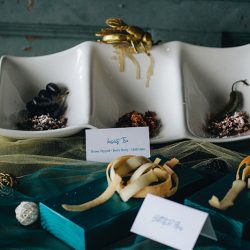 Insect Bridal Chettara T Photography 211 - Beautiful and avant-garde insect-themed wedding inspo Who knew a insect-themed wedding could be one of the most beautiful & avant garde EVER