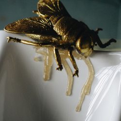 Insect Bridal Chettara T Photography 215 - Beautiful and avant-garde insect-themed wedding inspo Who knew a insect-themed wedding could be one of the most beautiful & avant garde EVER