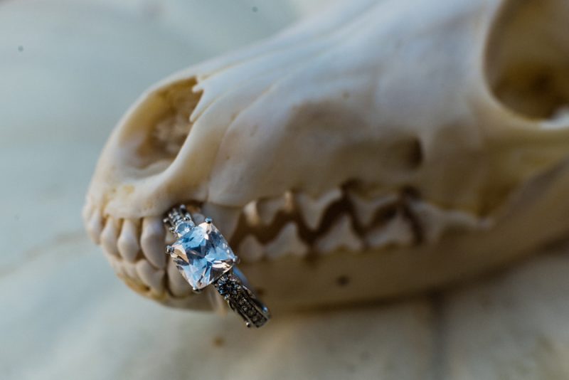 A cemetery engagement photo shoot with pumpkins, colorful smoke, and their Best Cats