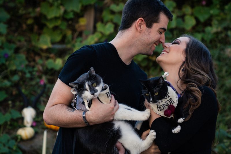 A cemetery engagement photo shoot with pumpkins, colorful smoke, and their Best Cats
