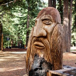 OffbeatWeddingPhotographer EllaSophie CampNovarro Redwoods Mendocino BD260 - A rustic meets glam fall camping wedding in Mendocino, CA A rustic meets glam camping Hallowedding in Mendocino, CA