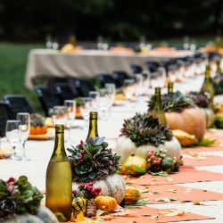 OffbeatWeddingPhotographer EllaSophie CampNovarro Redwoods Mendocino BD362 - A rustic meets glam fall camping wedding in Mendocino, CA A rustic meets glam camping Hallowedding in Mendocino, CA