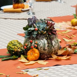 OffbeatWeddingPhotographer EllaSophie CampNovarro Redwoods Mendocino BD370 - A rustic meets glam fall camping wedding in Mendocino, CA A rustic meets glam camping Hallowedding in Mendocino, CA