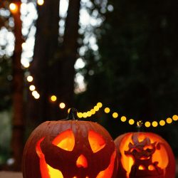OffbeatWeddingPhotographer EllaSophie CampNovarro Redwoods Mendocino BD490 - A rustic meets glam fall camping wedding in Mendocino, CA A rustic meets glam camping Hallowedding in Mendocino, CA