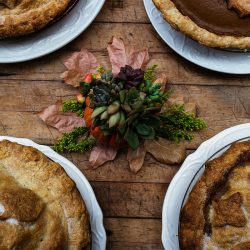 OffbeatWeddingPhotographer EllaSophie CampNovarro Redwoods Mendocino BD492 - A rustic meets glam fall camping wedding in Mendocino, CA A rustic meets glam camping Hallowedding in Mendocino, CA