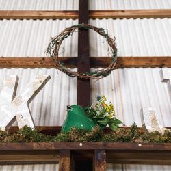Xiaoqi Li Photography Krystyn Joe Wedding 106 - A Virginia backyard wedding with Lord of the Rings details This Virginia backyard wedding combined Scottish heritage with Lord of the Rings