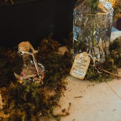 Apothecary vibes meet the sweet South at this South Carolina wedding