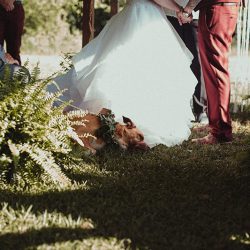Apothecary vibes meet the sweet South at this South Carolina wedding