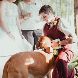 Apothecary vibes meet the sweet South at this South Carolina wedding