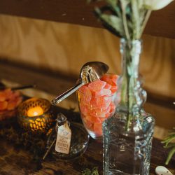 Apothecary vibes meet the sweet South at this South Carolina wedding