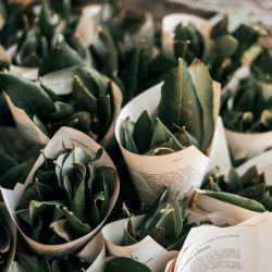 Rendell HortonGammage HenryPaulPhotography BelleLayneTwoBrightLights25 big - New South Wales surprise wedding with a yellow wedding dress and matching manicure! This New South Wales wedding was a whimsical DIYed floral celebration